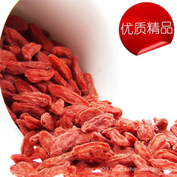 Organic Goji Berry, Super Goji Berry, Dried Goji Berries